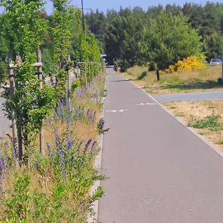 Jastrzebia Marina - Komfortowe Caloroczne