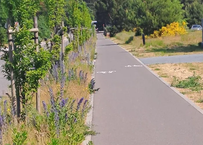 Jastrzebia Marina - Komfortowe Caloroczne